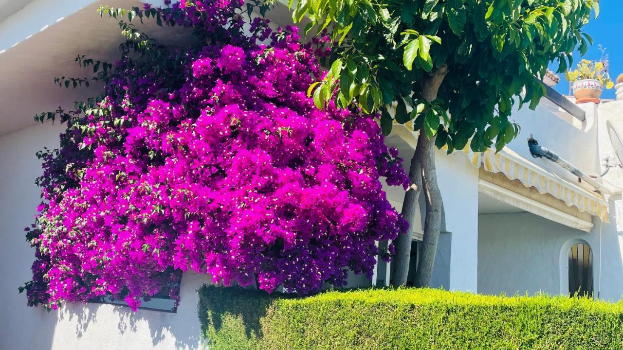 Sitio de Calahonda Modern Garden Apartment With A Fantastic Sea View And A Private Garden מראה חיצוני תמונה